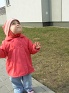pic08