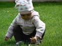 pic03