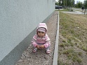 pic15